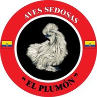 sedosaselplumon