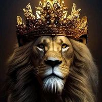 formando_mi_imperio1