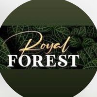 hotelroyalforest