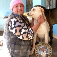 peluditos_con_pijama