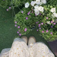 cantiknya memancari terang