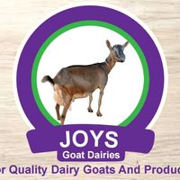 joysgoatsdaries