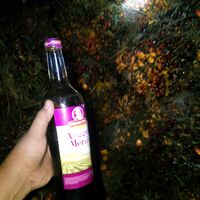 suara asli - N