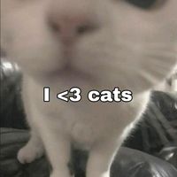 l0n3rb0n3r