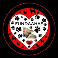 original sound - fundaahasmcbo