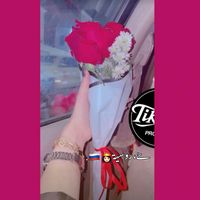 li._103_.ill