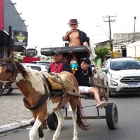 lucianoteclas_puxelt