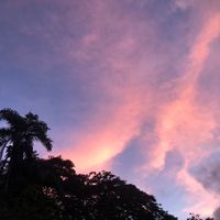 negra_0808
