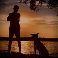 thedogfather41