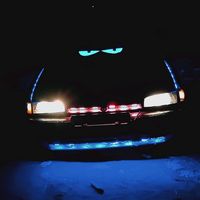 lapantera784