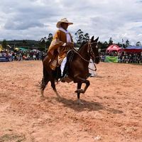maxsanchez59ogriv