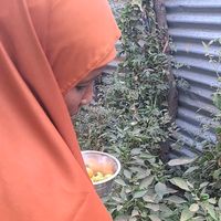 hooyo__somali1