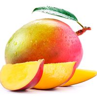 mango_____