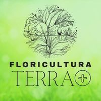 _floriculturaterramais