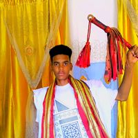 .amir.al.arab