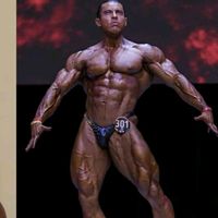 ifbbproismaelestrada