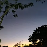 original sound - esvm25