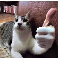spacekitten123