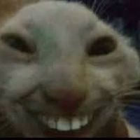 original sound - oMEnyy