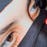 elaham13