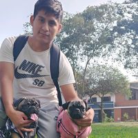 elloco_de_tiktok