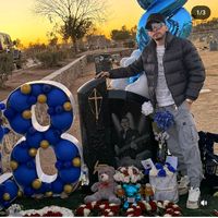 fan_de_los_parrass1_0