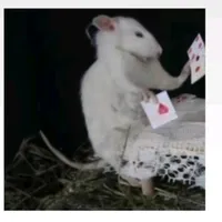 original sound - edith_lopezr