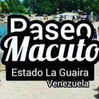 original sound - paseomacuto