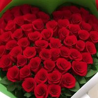 francisblueskytiktok.co0