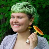 jules.amanita