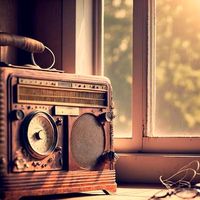 suara asli - RADIO BUTUT 🦉