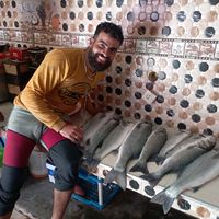 yassinethabit