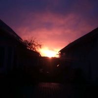 оригінальний звук