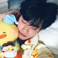 you x i bet on losing dogs