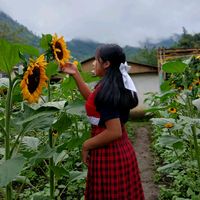 roxi502491