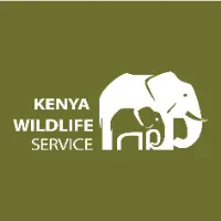 original sound - kwskenya
