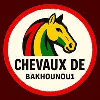 chevaux_de_bakhounou_1