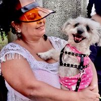 roselidefgdesouza2