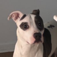 lalaislulu6