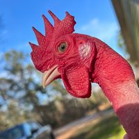 jaybirdthenakedchicken