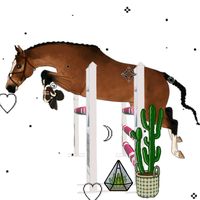 kikis_horsewelt