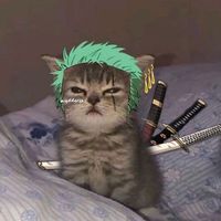 madduszx_