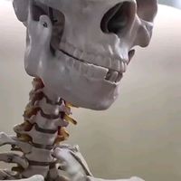 bloodyefi