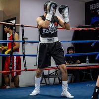 alan_eltoro