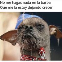 sonido original