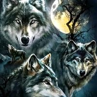 15lobos