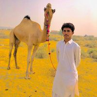 jamsab6100