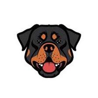 zeus_store21
