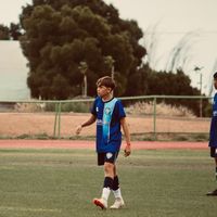 salvaa_furia