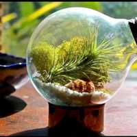 sejainspiracaoachadinhos